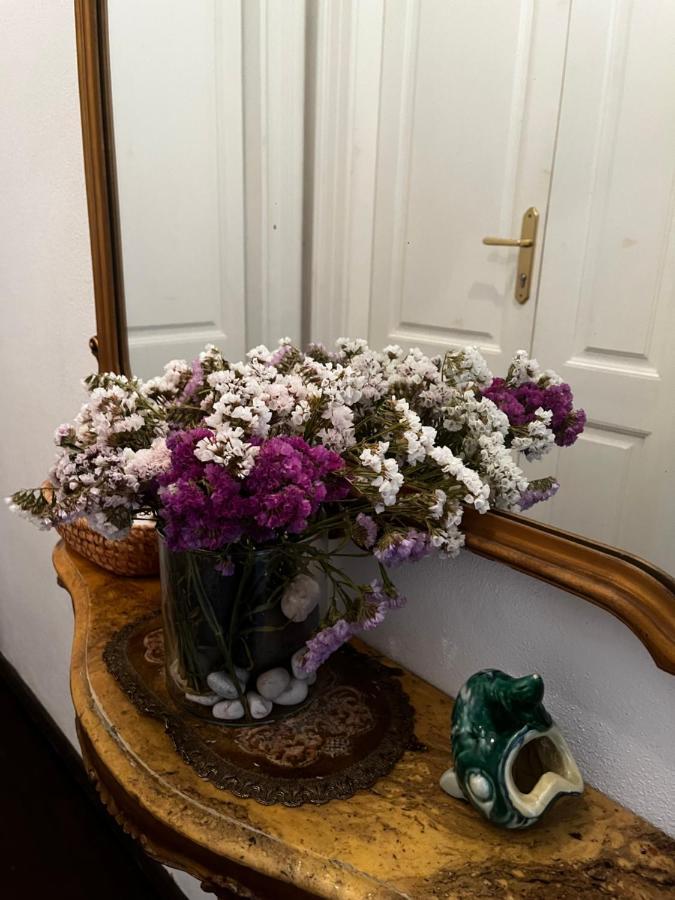 Apartment Hisa 7 بيران المظهر الخارجي الصورة
